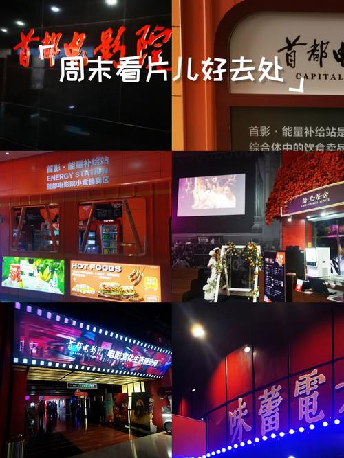 这里有精品久久久的相关介绍