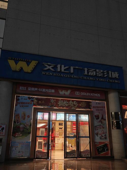 韩国光棍影院的相关介绍