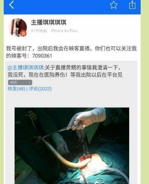意大利最新伦理的相关介绍