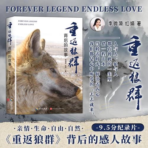 天狼影院的相关介绍