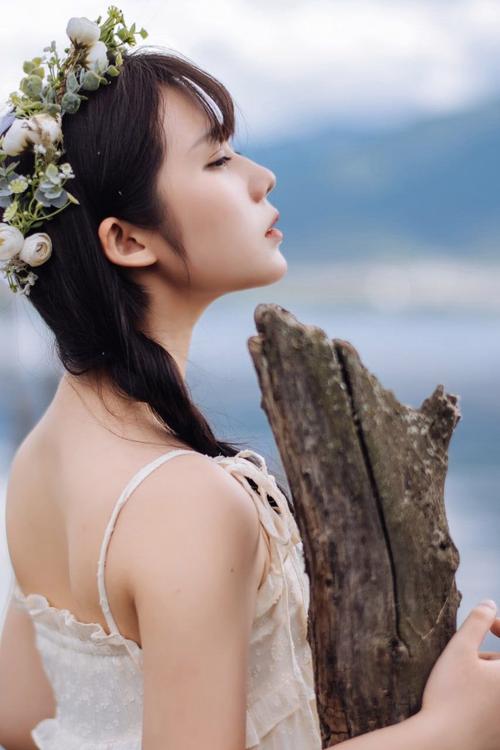 飞鸿影院的相关介绍