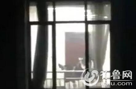 极速影院苹果下载安装的相关介绍