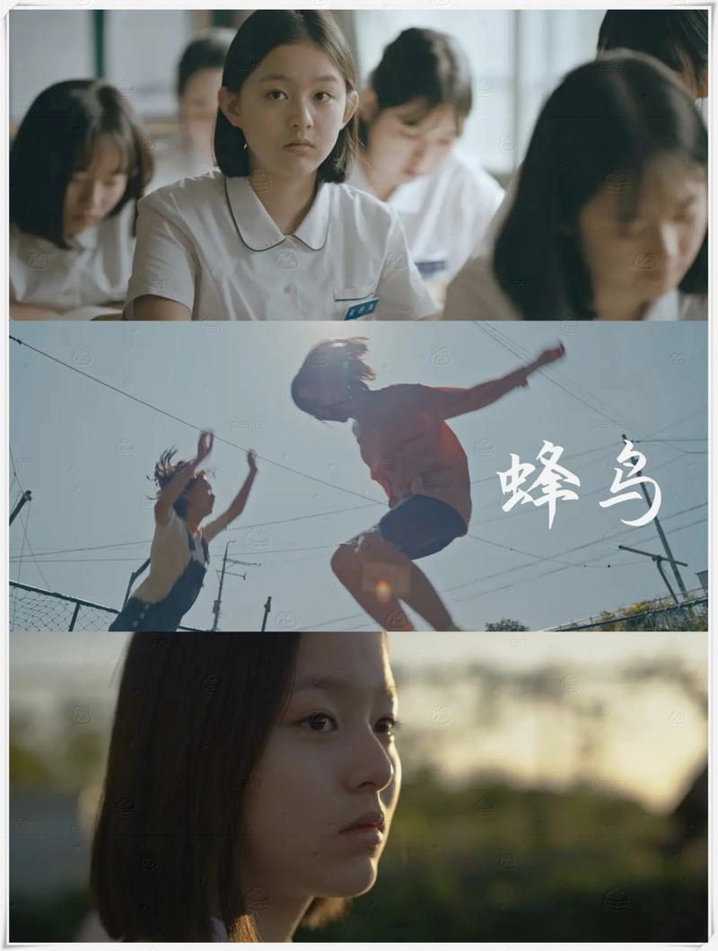 来5566先锋影院的相关介绍