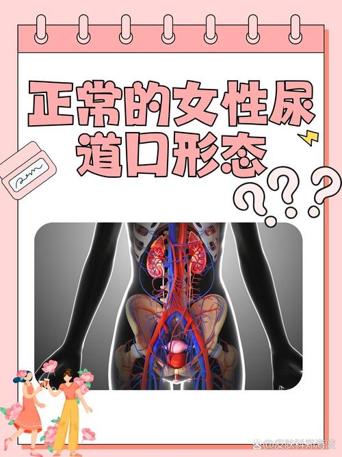 国产欧美久久h的相关介绍