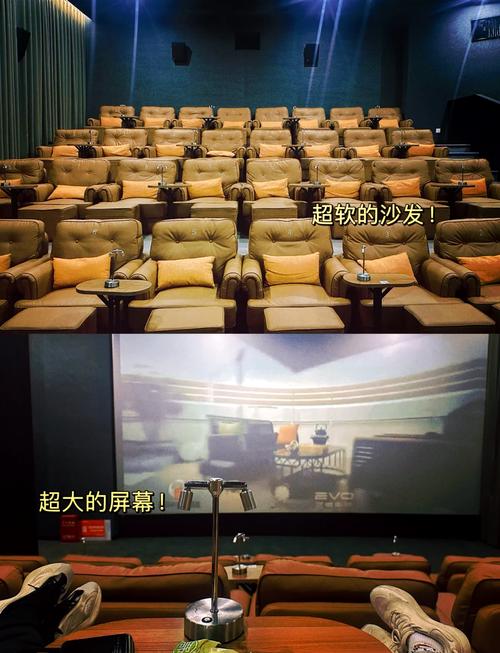 九九影院欧美重口味的相关介绍