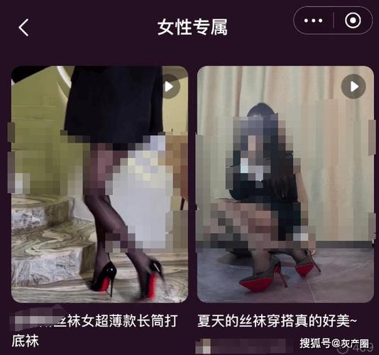18禁在线免费观的相关介绍